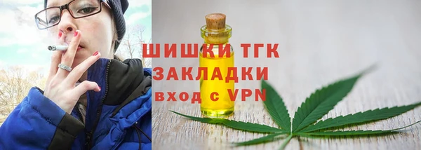 ГАЛЛЮЦИНОГЕННЫЕ ГРИБЫ Абаза
