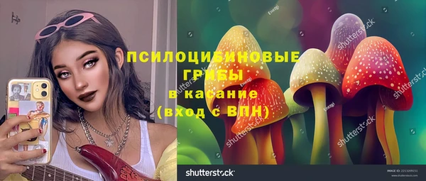 ГАЛЛЮЦИНОГЕННЫЕ ГРИБЫ Абаза