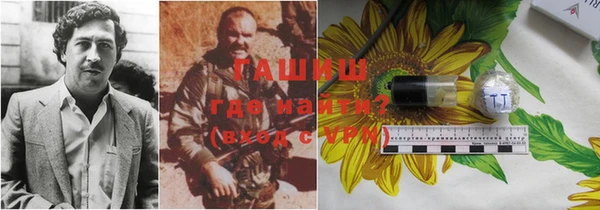 ГАЛЛЮЦИНОГЕННЫЕ ГРИБЫ Абаза