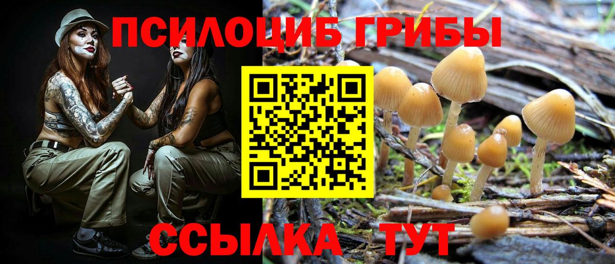 Галлюциногенные грибы GOLDEN TEACHER Азнакаево