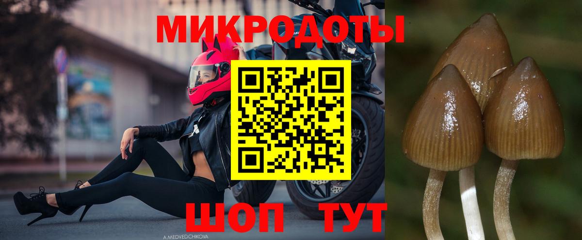 Псилоцибиновые грибы Psilocybine cubensis  Вход с VPN  Азнакаево 